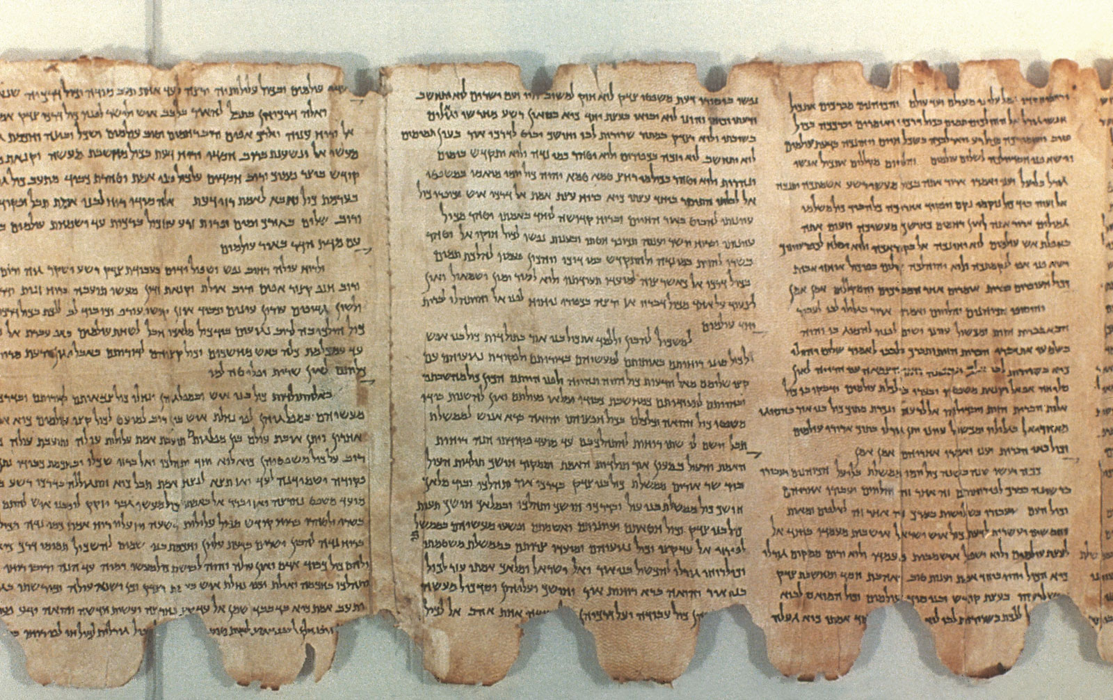 En este momento estás viendo Congreso en Barcelona: Authoritative Writings in Early Judaism and Early Christianity: Their Origin, Collection and Meaning