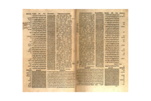 Lee más sobre el artículo XXV Jornadas ABE: La Biblia en sus textos, V centenario de la Políglota